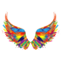 Color Abstract Wings Sticker