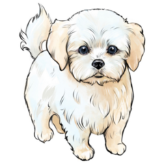 Color Illustration Maltese Sticker