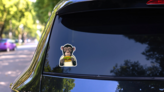 Color Monkey Eating A Hamburger Sticker on a Rear Car Window (New) example