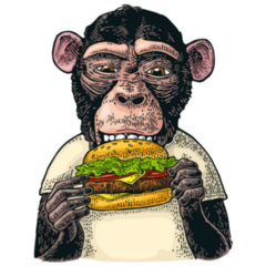 Color Monkey Eating A Hamburger Sticker