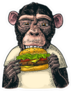Color Monkey Eating A Hamburger Sticker