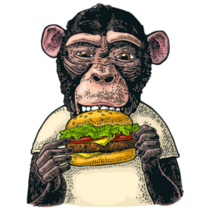 Color Monkey Eating A Hamburger Sticker