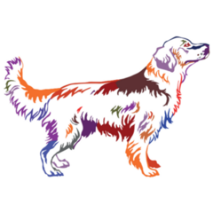 Color Portrait Golden Retriever Sticker