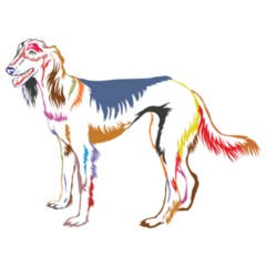 Color Portrait Saluki Sticker