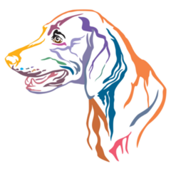 Color Weimaraner Sticker