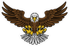 Color Woodcut Style American Bald Eagle Sticker