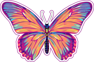 Colored Butterfly Sticker