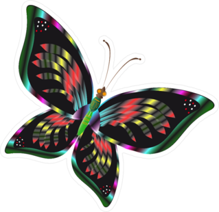 Colorful Butterfly Sticker