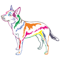 Colorful Cattle Dog Sticker