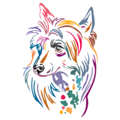 Colorful Chinese Crested Sticker