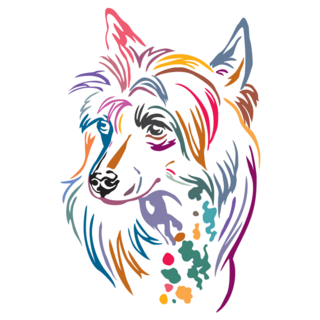 Colorful Chinese Crested Sticker
