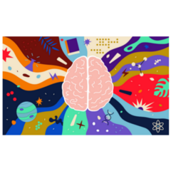Colorful Сerebral Hemispheres Infinite Potential Human Brain Sticker