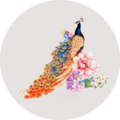 Colorful Flowers Peacock Illustration Sticker