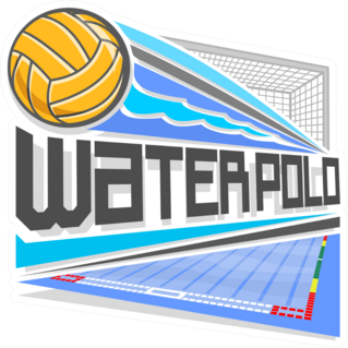 Colorful Flying Water Polo Ball Sticker