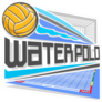 Colorful Flying Water Polo Ball Sticker