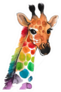 Colorful Giraffe Sticker
