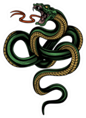 Colorful Hand Drawn Snake With Tongue Sticker