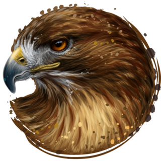 Colorful Hawk Sticker