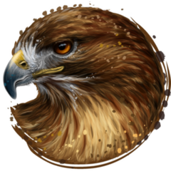 Colorful Hawk Sticker