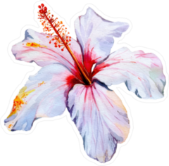 Colorful Hibiscus Flower Sticker