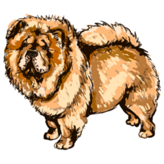 Colorful Illustration Chow Sticker