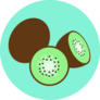 Colorful Kiwi Sticker