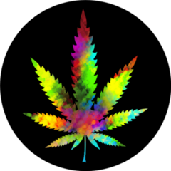 Colorful Marijuana Leaf On Black Background Sticker