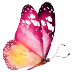 Colorful Pink and Yellow Butterfly Sticker
