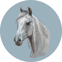 Colorful Portrait Of White Arabian Horse On Blue Sticker