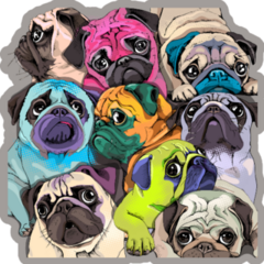 Colorful Pug Mosaic Sticker