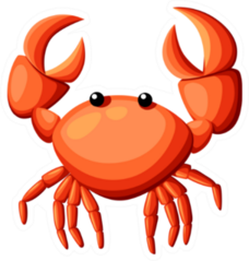 Colorful Red Crab Illustration Sticker
