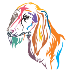 Colorful Saluki Sticker