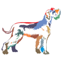 Colorful Schnauzer Sticker