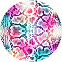 Colorful Snake Skin Texture Sticker