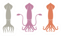 Colorful Squid Logo Sticker