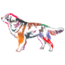 Colorful Standing Bernese Sticker