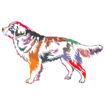 Colorful Standing Bernese Sticker