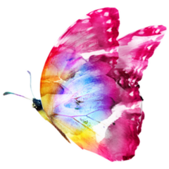 Colorful Watercolor Butterfly Sticker