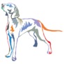 Colorful Weimaraner Sticker