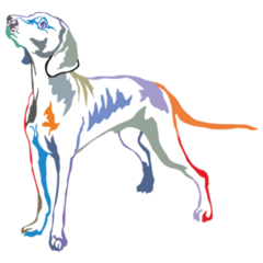 Colorful Weimaraner Sticker