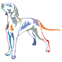 Colorful Weimaraner Sticker