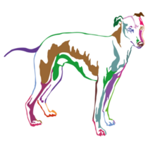 Colorful Whippet Sticker