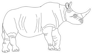 Coloring Book Rhino Sticker