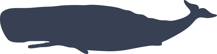 Colossal Whale Sticker