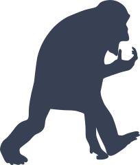 Comical Monkey Sticker