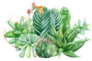Composition Of Succulents Sticker