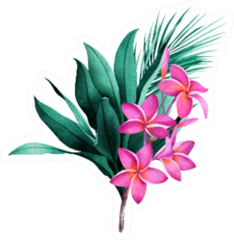 Composition Of Tropical Plants And Plumeria Flowers Sticker