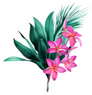 Composition Of Tropical Plants And Plumeria Flowers Sticker