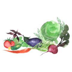 Composition Of Watercolor Vegetables Garden Sticker