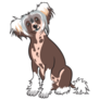 Confused Chinese Crested Sticker